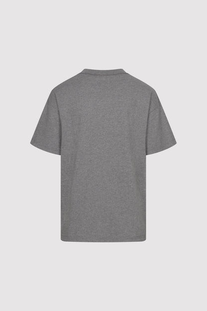 Men's AA T-Shirt in Grey