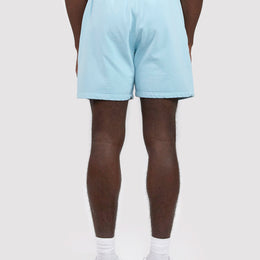 Men's AA Shorts in Baby Blue