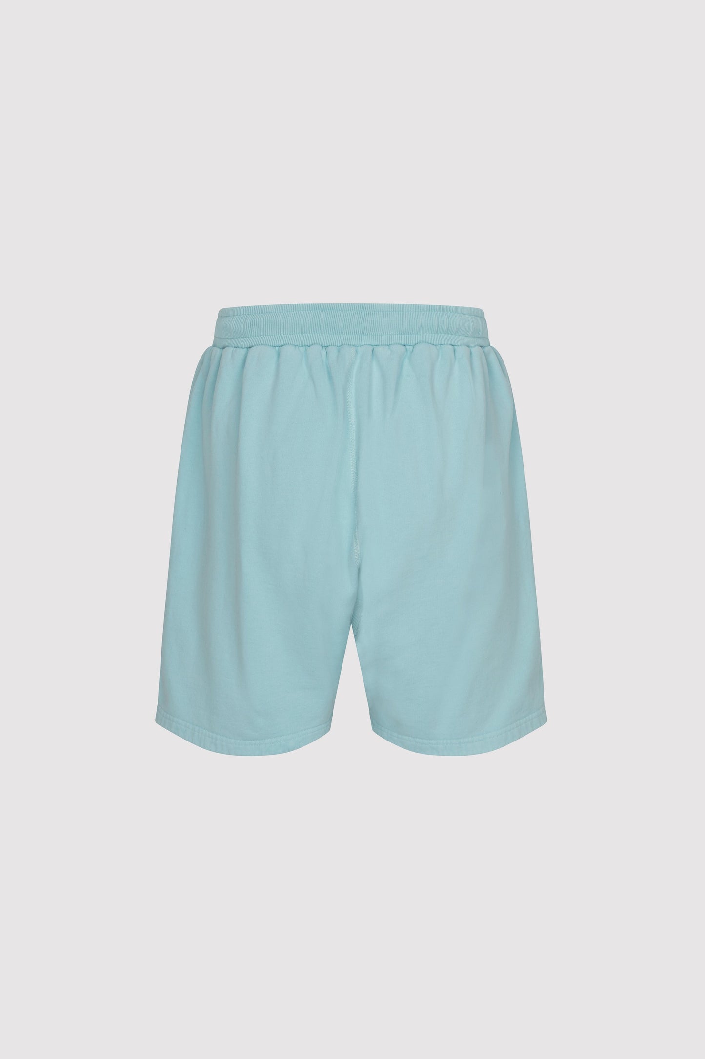 Men's AA Shorts in Baby Blue